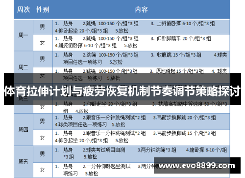 体育拉伸计划与疲劳恢复机制节奏调节策略探讨