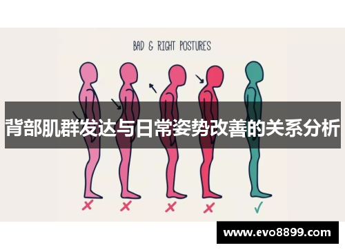 背部肌群发达与日常姿势改善的关系分析